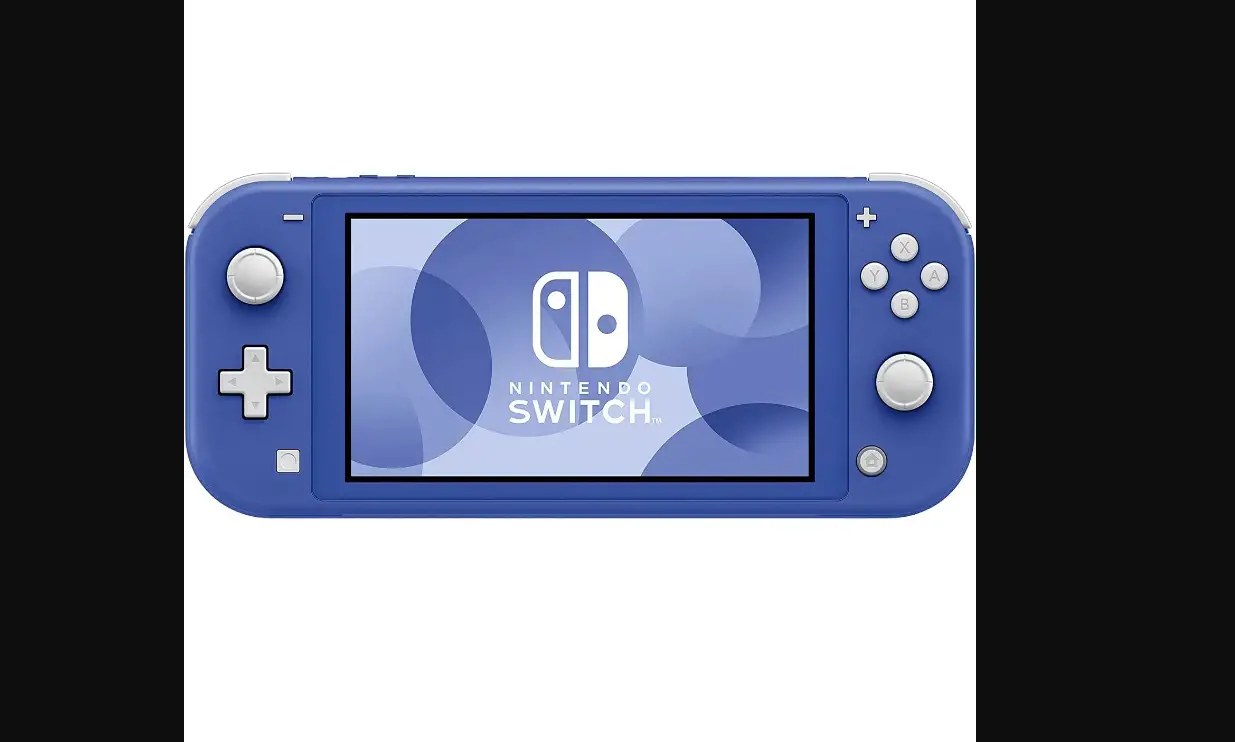 Nintendo Switch/ Switch Lite User Manual