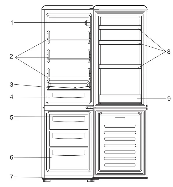 STRUCTURE ILLUSTRATION