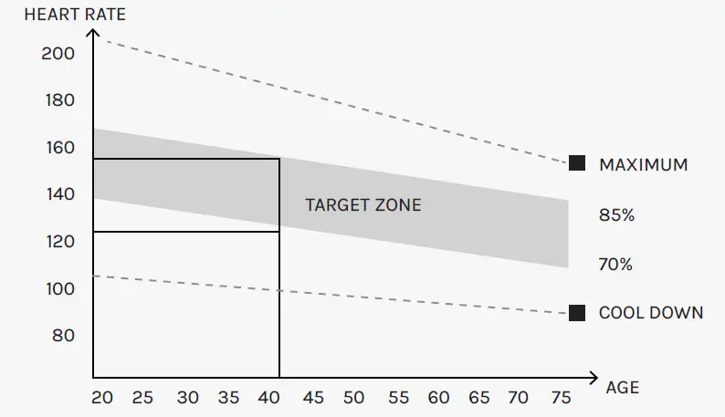 CORTEX-V1-Adjustable-Dumbbell-Stand-19
