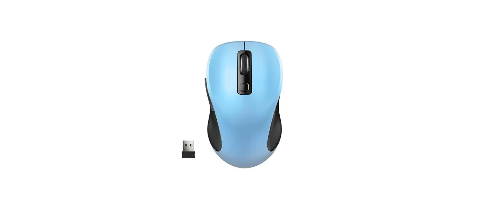 Dongguan Dexinlong Electronic Technology X7 2.4g Wireless Mouse User Manual