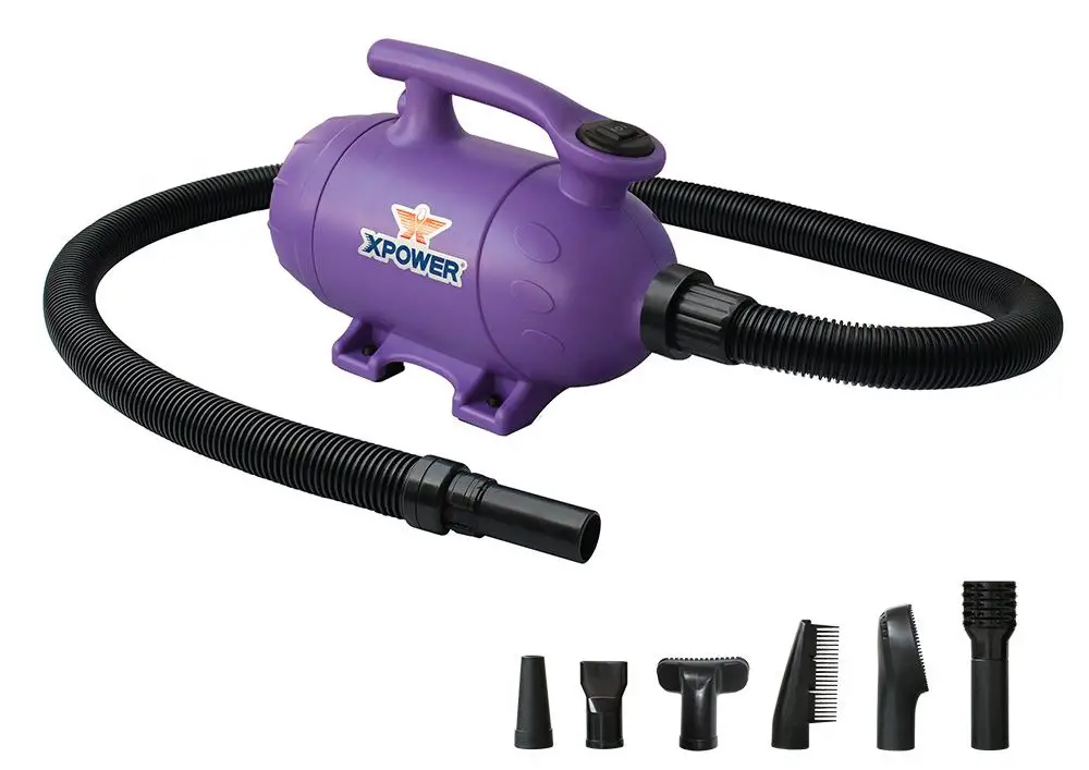 XPOWER B-2 Pro-At-Home Pet Dryer + Vacuum image