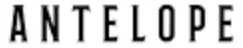Antelope-LOGO