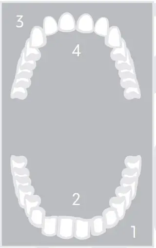 FIG 9 BRUSHING TECHNIQUE.JPG