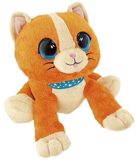 chicco-00010770000000-Peekaboo-Cat-Pet-PRO