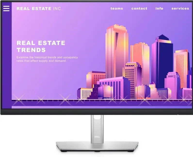 DELL P2422H 24 Inch HD Monitor