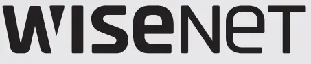 WISeNeT logo