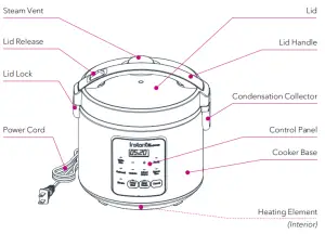 Zest Rice & Grain Cooker