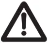 Warning Icon