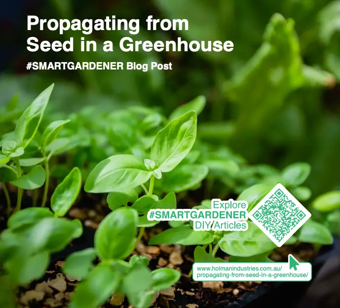 Propagating from Seed in a Greenhouse