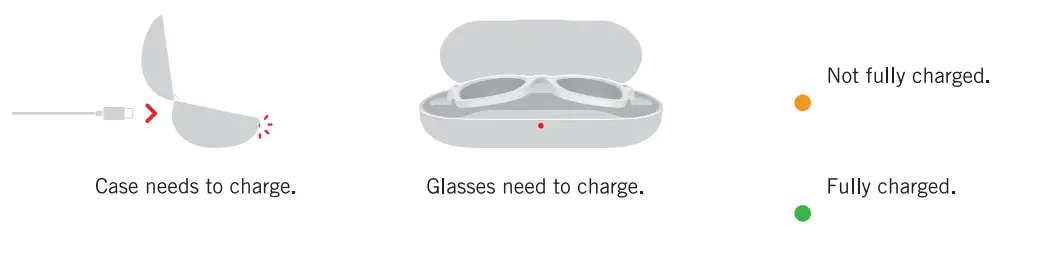 Luxottica Group 4002 Ray fig1