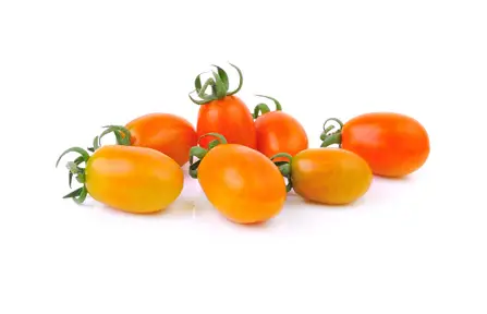 DASH D DMWD001 Dreidel Mini Waffle Maker - troubleshooting 3