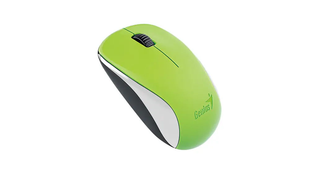 Genius Nx-7007 Wireless Stylish Mouse User Guide
