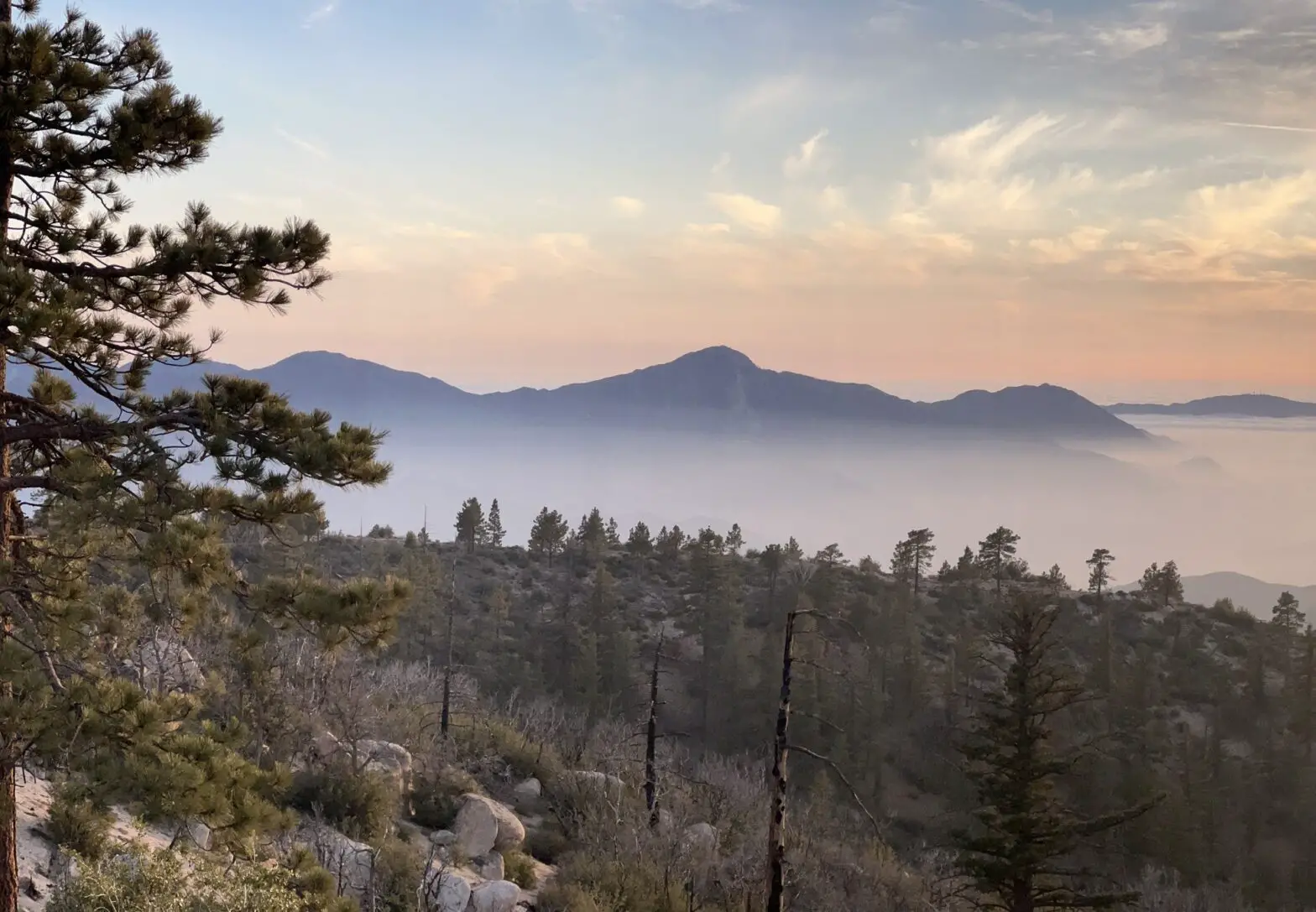 KALI AUDIO IN 5 C 5 Inch 3 Way Powered Studio Monitor Loudspeaker - Cover