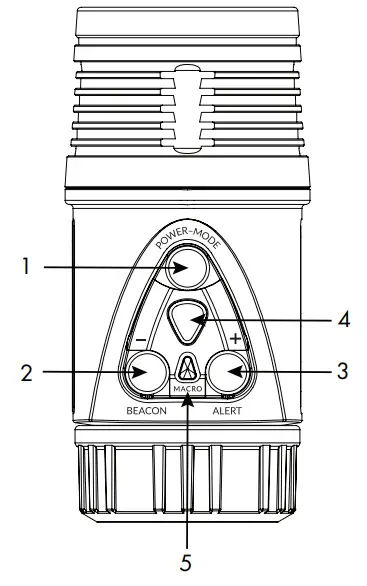 BACKSCATTER MW-4300 Macro Wide Underwater -- LAYOUT