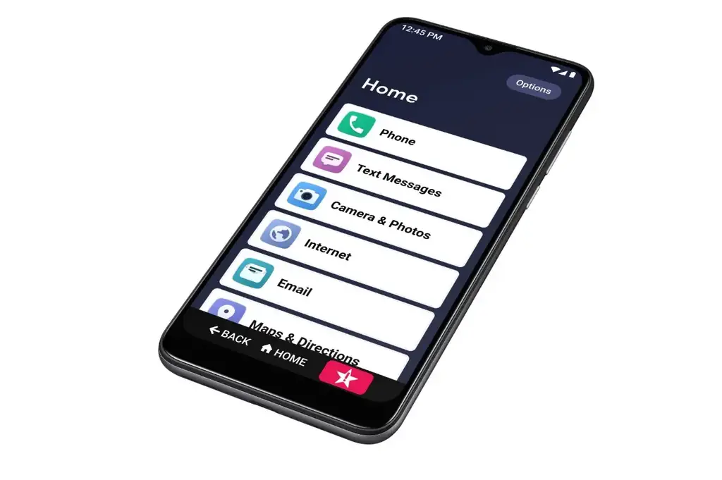 Lively Smart Phone Instructions
