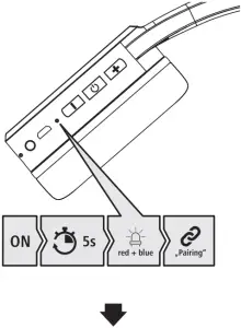 Assembly Instructions