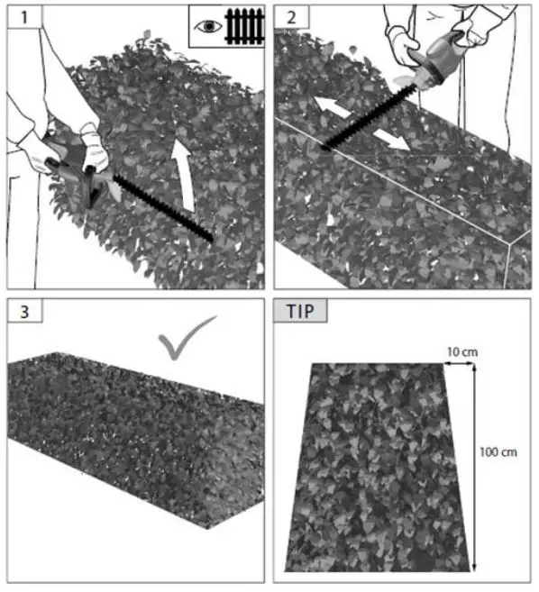TEXAS HTX2000 Hedge Trimmer - Tips and advices