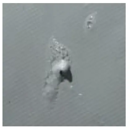 Sea Eagle Transom Boats - Fig 87