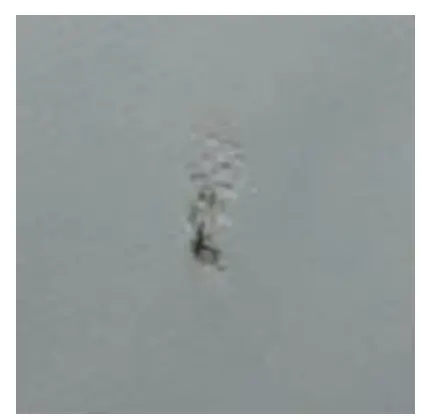 Sea Eagle Transom Boats - Fig 88