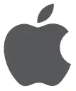 Iphone Icon