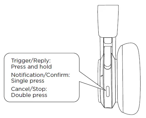 The Google Assistant