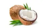 Coconut