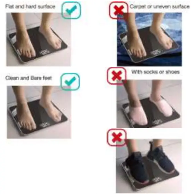 SILVERGEAR Heart Rate Monitor Premium Smart Scale fig 6