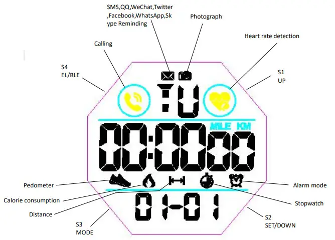 SKMEI 1746 Digital Watch - 1