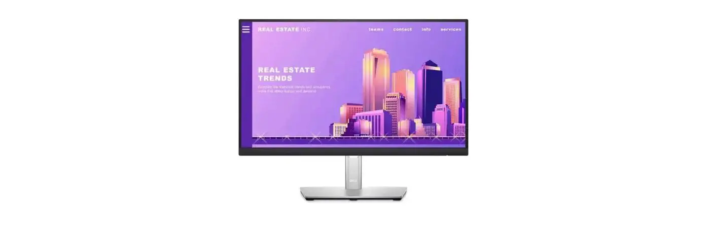 Dell P2222h Display Manager Monitor User Guide