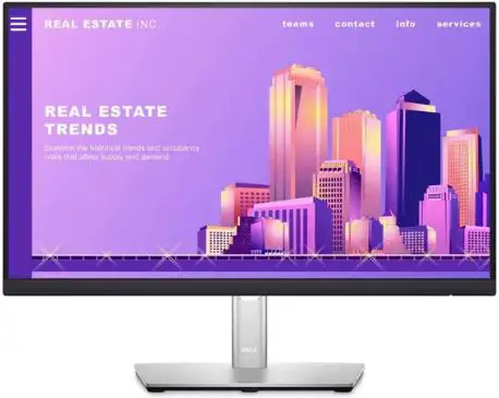 DELL P2222H Display Manager Monitor-FIG1