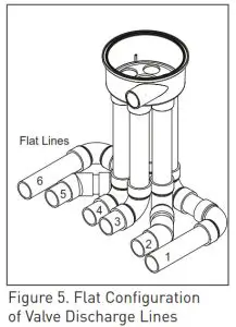 CARETAKER REVOLUTION--Discharge