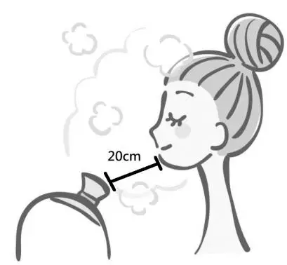 anko LD-6337 Facial Steamer fig3