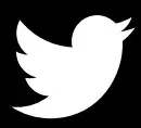 Twitter Icon