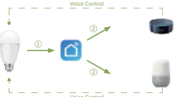 novostella NTB09-RGBCW-US-3 Smart LED Bulb FIG 1