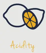 FELLOW Corvo EKG Electric Kettle - ACIDITY