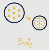 FELLOW Corvo EKG Electric Kettle - BODY