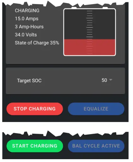 Apps-Club-Car-Pack-Charging-System-fig-3