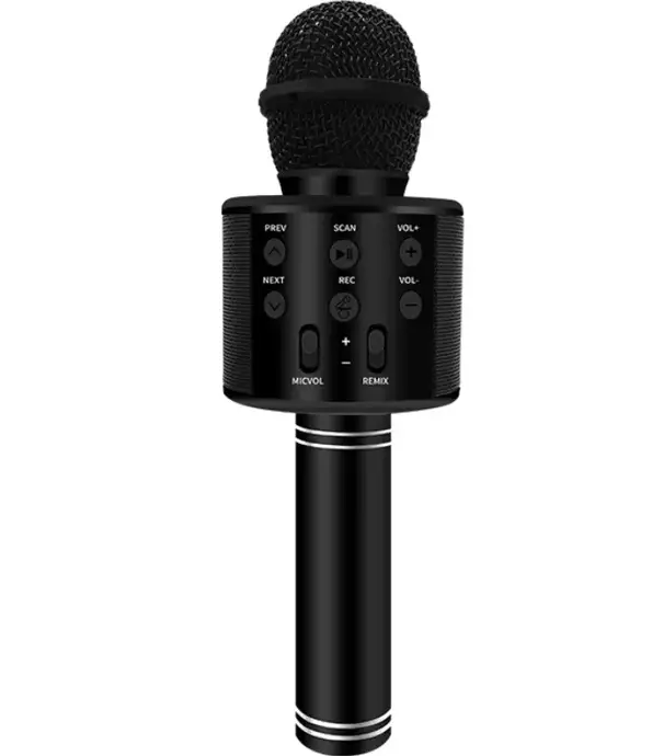 Dongguan Ws858l Bluetooth Karaoke Microphone User Manual Dongguan Ws858l Bluetooth Karaoke Microphone User Manual