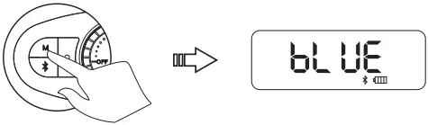 True Wireless Stereo Function