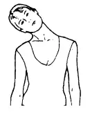 Kogan FORTIS Magnetic Flywheel Upright Exercise Bike FSMFEXR500A-Head Rolls