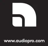 Audio Pro Logo 2