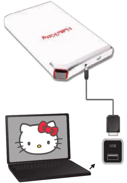 danedigital Ultra Mobile Hard Disk Drive - USB connection to AC