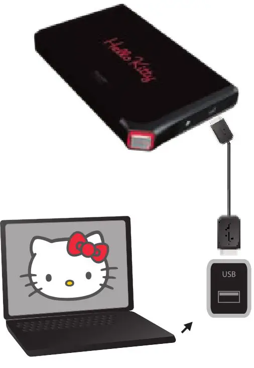 danedigital Ultra Mobile Hard Disk Drive - USB connections