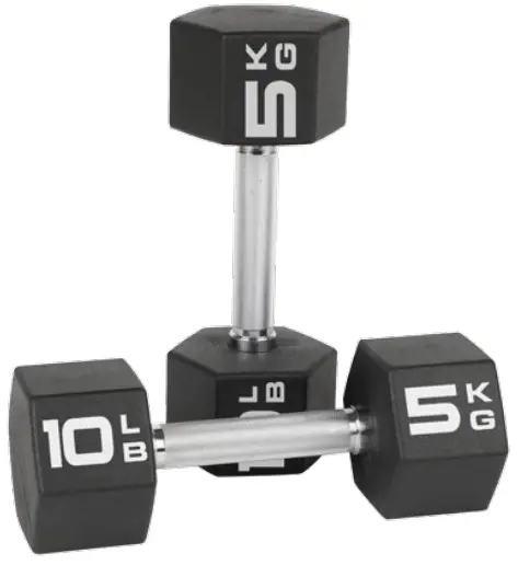 FITBENCH FLEX02 Flex Bench Black - DUMBBELL