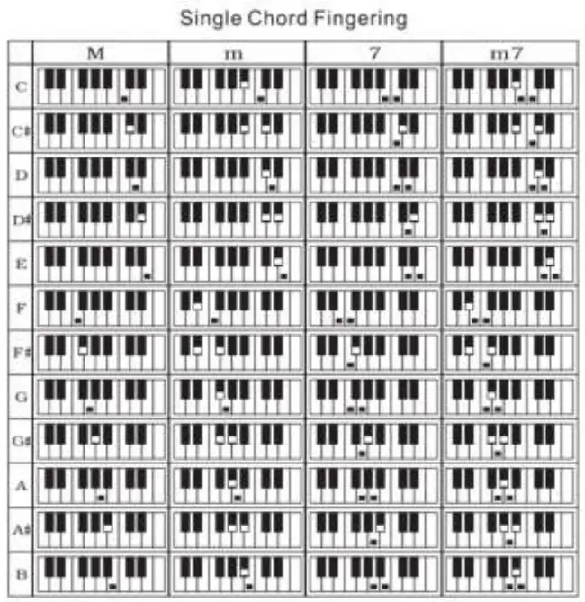 max MUSIC 130 080 61 Key Lighting Keyboard - fig 2