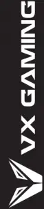 VX Gaming
