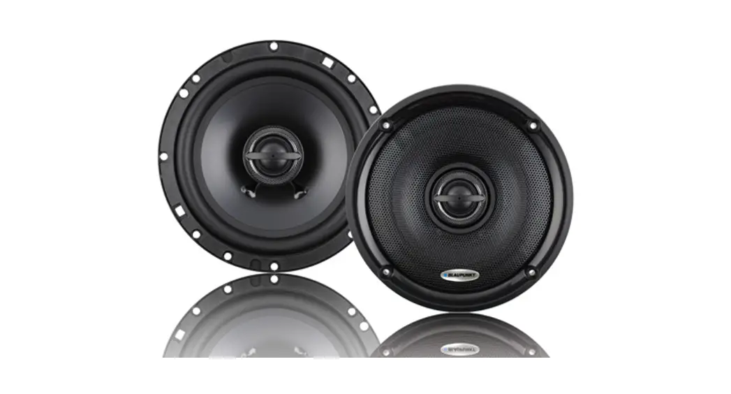 Blaupunkt Power Speaker Bgx 2xxx Series Instruction Manual Blaupunkt Power Speaker Bgx 2xxx Series Instruction Manual