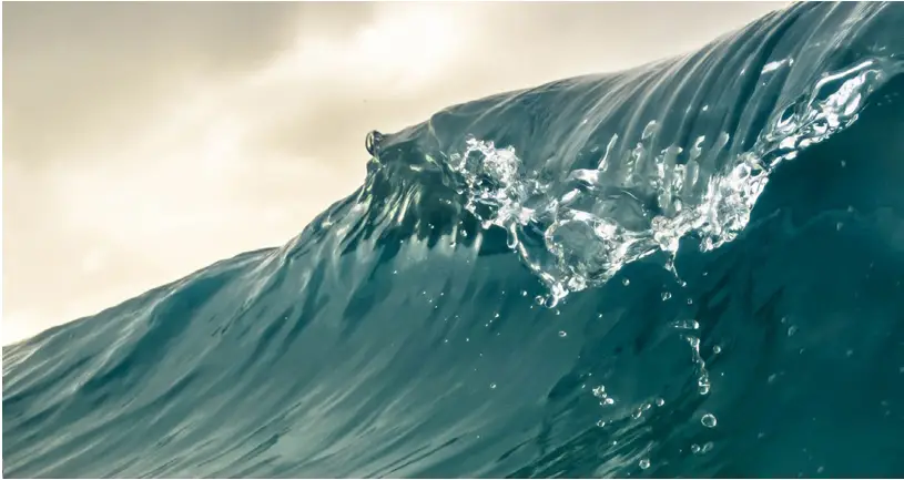 SLEIPNER MIDI 202 600w 12v Windlass - BACK