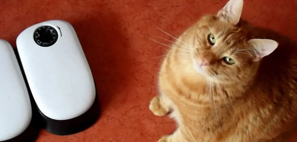 Trixie Tx1 Automatic Food Dispenser Instruction Manual