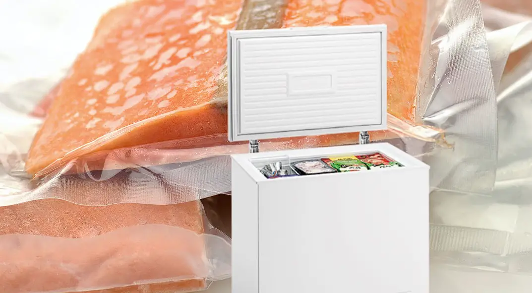 Berg Bd950 Chest Freezer User Manual